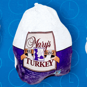 Last-Minute Turkey Thaw: The Safe Cold Water Method